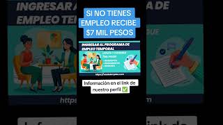 Apoyo económico si no tienes empleo [upl. by Ludwig646]