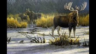 Tribute To The Wildlife Art of Robert Bateman 30 Of His Finest Paintings [upl. by Perron]