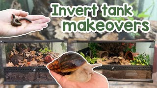 My Invertebrate tanks get a makeover  Millipedes amp Giant african land snail [upl. by Cesya]