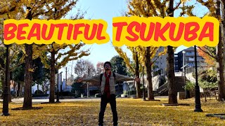 Tsukuba City Walk Japan [upl. by Suolhcin]