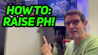 Super Easy How to raise PH in a reef tank [upl. by Helbonnah]