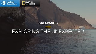 Galápagos Exploring the Unexpected  Lindblad ExpeditionsNational Geographic [upl. by Hcra831]