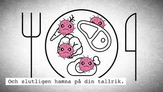 Antibiotikaresistens och livsmedel  lång med tal [upl. by Lehcyar]