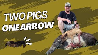 2 Pigs with 1 arrow Bowhunting Texas hogs [upl. by Tiphanie]