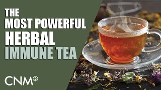 The Most POWERFUL IMMUNE Boosting Tea Medical Herbalist Guide amp Recipe [upl. by Somerville711]