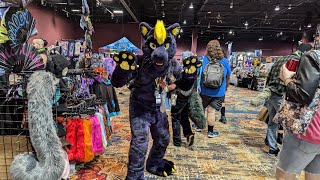 Popular Fur Finn the Panther and more furries at BLFC [upl. by Lowenstein]