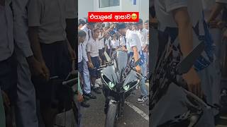 අනේ එයාලගේ ආසව 🥺❤️ srilanka highcapacitybike rider slbikes highcapacity r6 [upl. by Auhsej800]