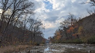 hiking and exploring mudlick hollow crane pond creek big creek [upl. by Niwdla]