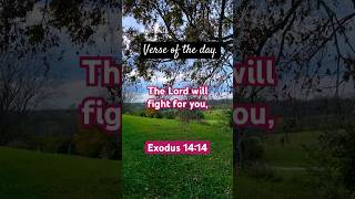 God Will Fight For You Ex 1414 simplyscripture bibleverse motivation [upl. by Ada]