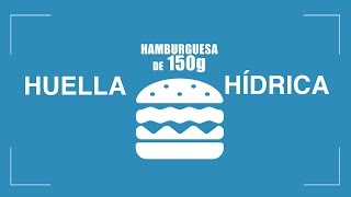 Hamburguesa  Huella Hidrica [upl. by Kelula]