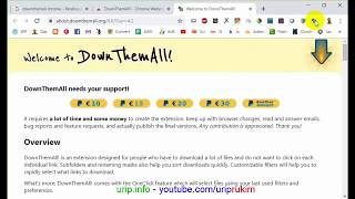 Menginstall Ekstensi Downthemall di Chrome [upl. by Leblanc496]