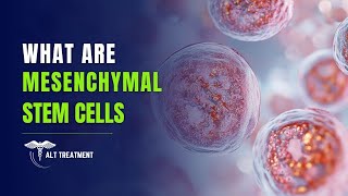 How do Mesenchymal Stem Cells work [upl. by Xylina]