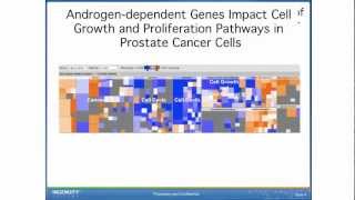 Transcription factor activation amp inhibition in microRNA mRNA amp RNASeq cancerrelated experiments [upl. by Katlin672]