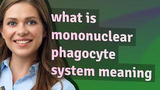 Mononuclear phagocyte system  meaning of Mononuclear phagocyte system [upl. by Lemmie625]