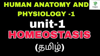 HOMEOSTASIS  BASIC LIFE PROCESSES POSITIVE AND NEGATIVE FEEDBACK MECHANISM HAP1BPHARMACYTAMIL [upl. by Musette1]