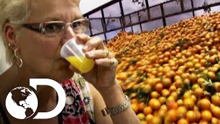 Dentro de una fábrica de jugo de naranja  ¿Cómo lo hacen  Discovery Latinoamérica [upl. by Eniliuqcaj]