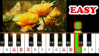 Waltz of the Flowers PIANO Tutorial  BEGINNER [upl. by Anihta]