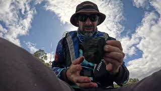 Lake Wivenhoe Fishing Branch Creek tilapia pestfishing [upl. by Nilekcaj966]