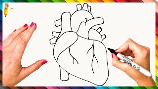 How To Draw A Human Heart Step By Step 🤎 Human Heart Drawing Easy [upl. by Zenger444]