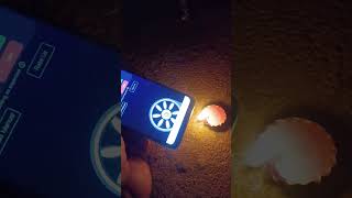 Blower App Experiment experiment science viralvideo viralshorts invisiblefire  MrIndian Fire [upl. by Allrud]