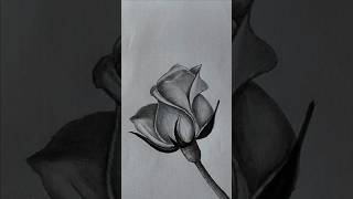 How to draw Rose easy 🌹🌹😍easy drawing shorts rose drawing [upl. by Rafaj]