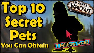 Top 10 Secret Pets You Can Obtain in World of Warcraft [upl. by Sy]