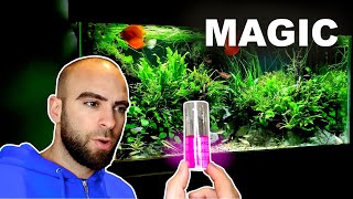 SECRET TO MY PLANT SUCCESS WATER TEST RESULTS  MD FISH TANKS [upl. by Golightly]