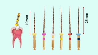 Endodontics Clinical  Rotary Instrumentation Files [upl. by Nylatsirk]