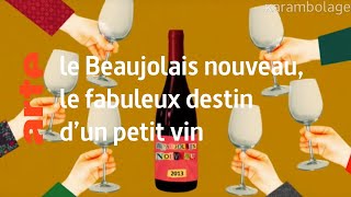 le Beaujolais nouveau le fabuleux destin dun petit vin  Karambolage  ARTE [upl. by Ahsircal]