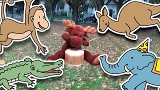 Jump Around  Animal Song for Kids [upl. by Gregg794]