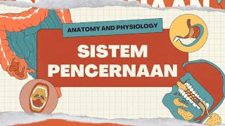 Anatomi dan fisiologi Sistem pencernaan [upl. by Oisangi]