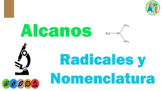 ALCANOS Radicales Nomenclatura y Ejercicios [upl. by Airreis]