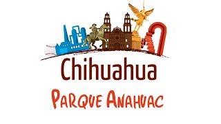 Chihuahua  Parque Anahuac [upl. by Niatirb]