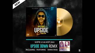 Upside Down New Afro Beat ft Diana Ross [upl. by Karel]