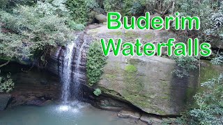 Buderim Rainforest and Waterfalls  Sunshine Coast Australia [upl. by Elleyoj597]