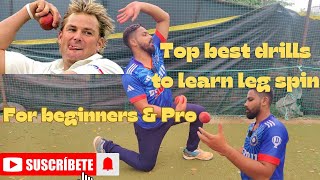 Leg spin bowling drill tutorial to take you from a beginner to a pro in 4 weeks [upl. by Alakim]