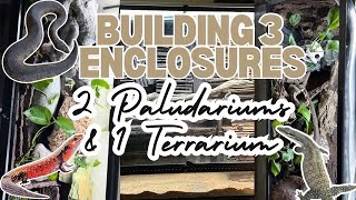 I Built 3 paludariums at once full build video [upl. by Lena]