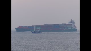 SHIPSPOTTING CUXHAVEN 2024  PART 10 [upl. by Denton914]