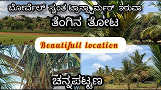 1Acre30gunta coconut farm 🌴borwell75km BangaloreChannapatna9513194244 [upl. by Juliana]