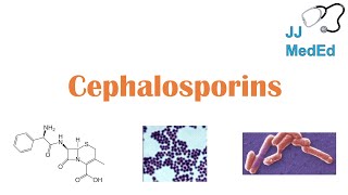 Cephalosporin Antibiotics 1st to 5th Generation Mechanism Side Effects and Bacterial Targets [upl. by Enneles644]