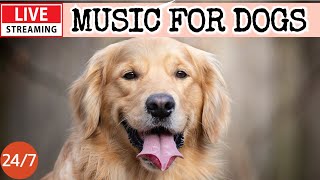 🔴LIVE Dog Music🎵 Dog Calming Music🐶Anti Separation Anxiety Relief Music💖Relaxing Dog Music🔴9 [upl. by Eanod]