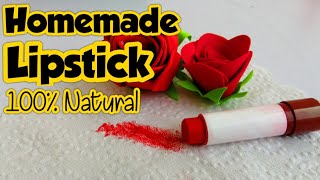 How to make natural lipstick at home  homemade lipstick  lipstick banane ka tarika  Sajal Malik [upl. by Sheeree]