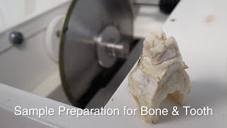 Sample Preparation for Bone and Tooth Thin Section [upl. by Berwick]