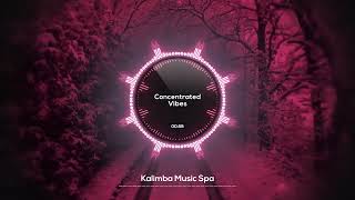 🌸 Concentrated Vibes 🌸  Kalimba Music Spa  Soulful Kalimba for Calm Work Sessions [upl. by Lleumas833]