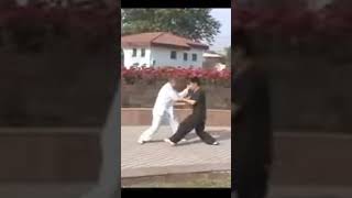 Xingyiquan Sparring Anshen Pao [upl. by Asilanna]