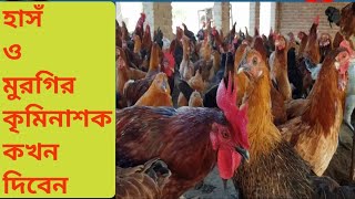 হাসঁ ও মুরগির কৃমিনাশ।।Deworming of Duck and Chickens ও মুরগির in 2024 [upl. by Johnsson]