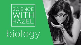 Cloning  GCSE Biology Revision  SCIENCE WITH HAZEL [upl. by Arted]