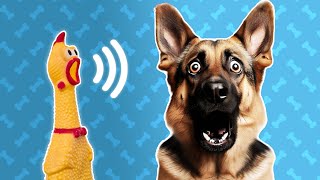 5 Squeaky Toy Sound For Dogs  Dog Sounds and Noises [upl. by Shig]