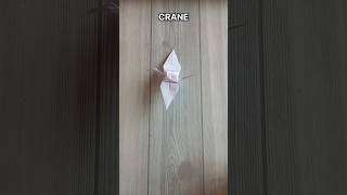 CRANE TUTORIAL ORIGAMI HOW TO MAKE A PAPER CRANE CRAFT STEP BY STEP FOLDING ARTWORK [upl. by Atiuqnahs153]