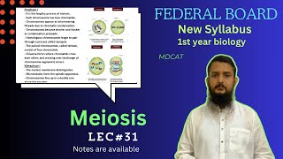 Meiosis  Stage of meiosis  Significance of meiosis  class 11 [upl. by Carolina]